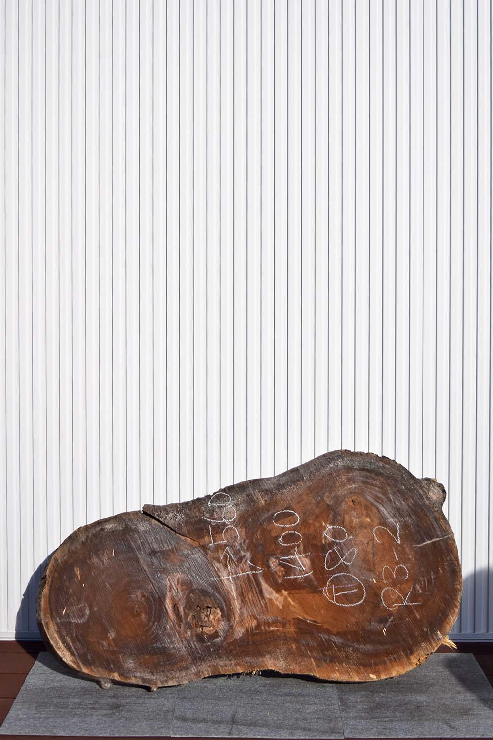 12USG0221/9 モンキーポッド 一枚板 一枚板輪切り