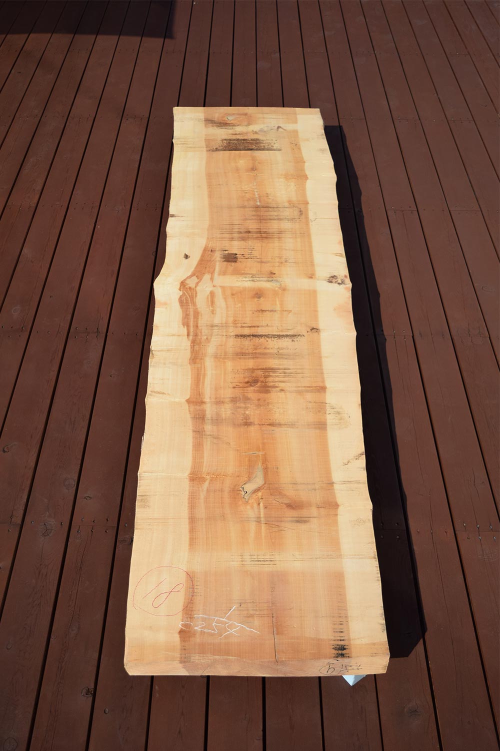 02USG1220/9 イチョウ 一枚板 一枚板カウンター