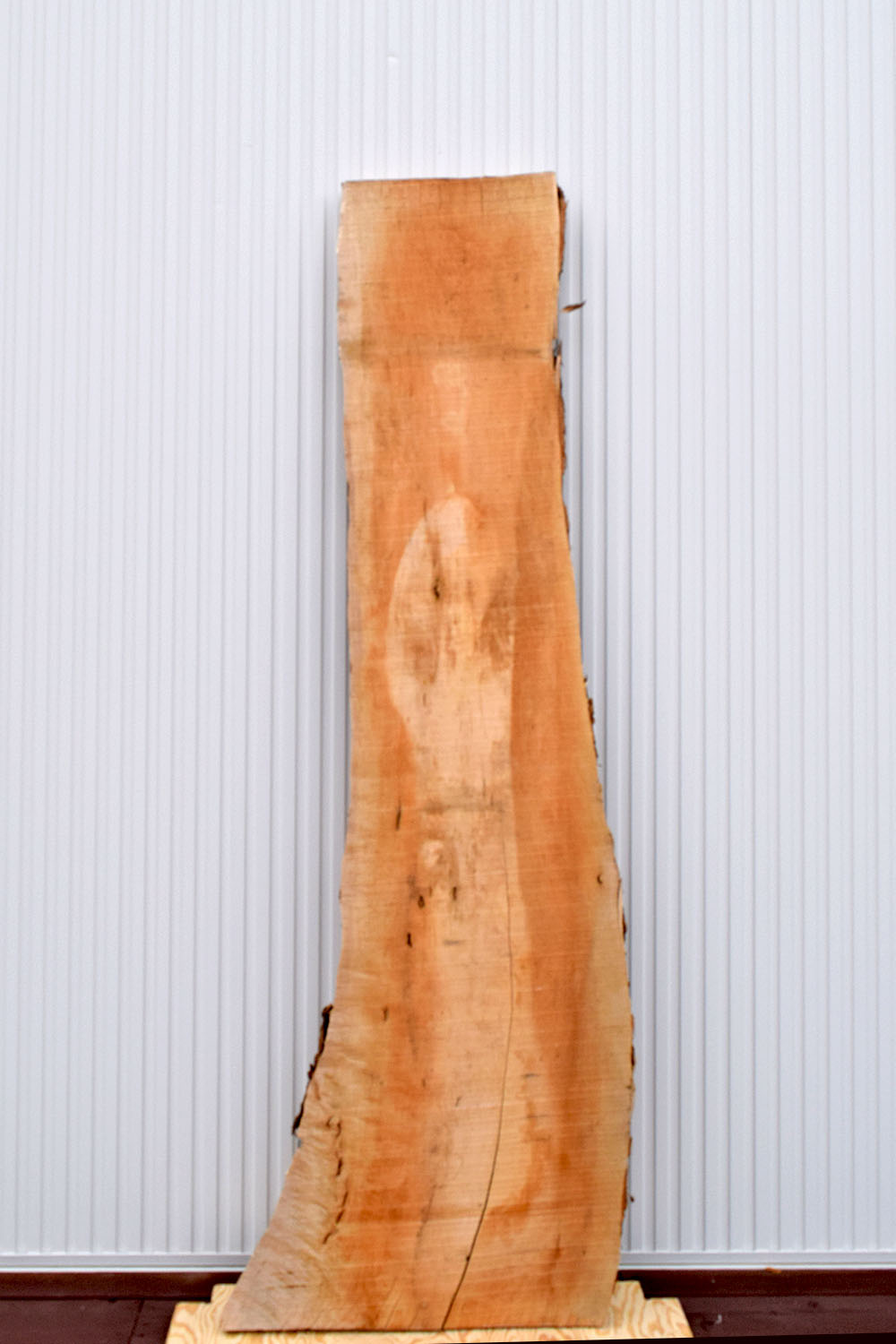 22TMI1530/2 楓 一枚板 一枚板カウンター