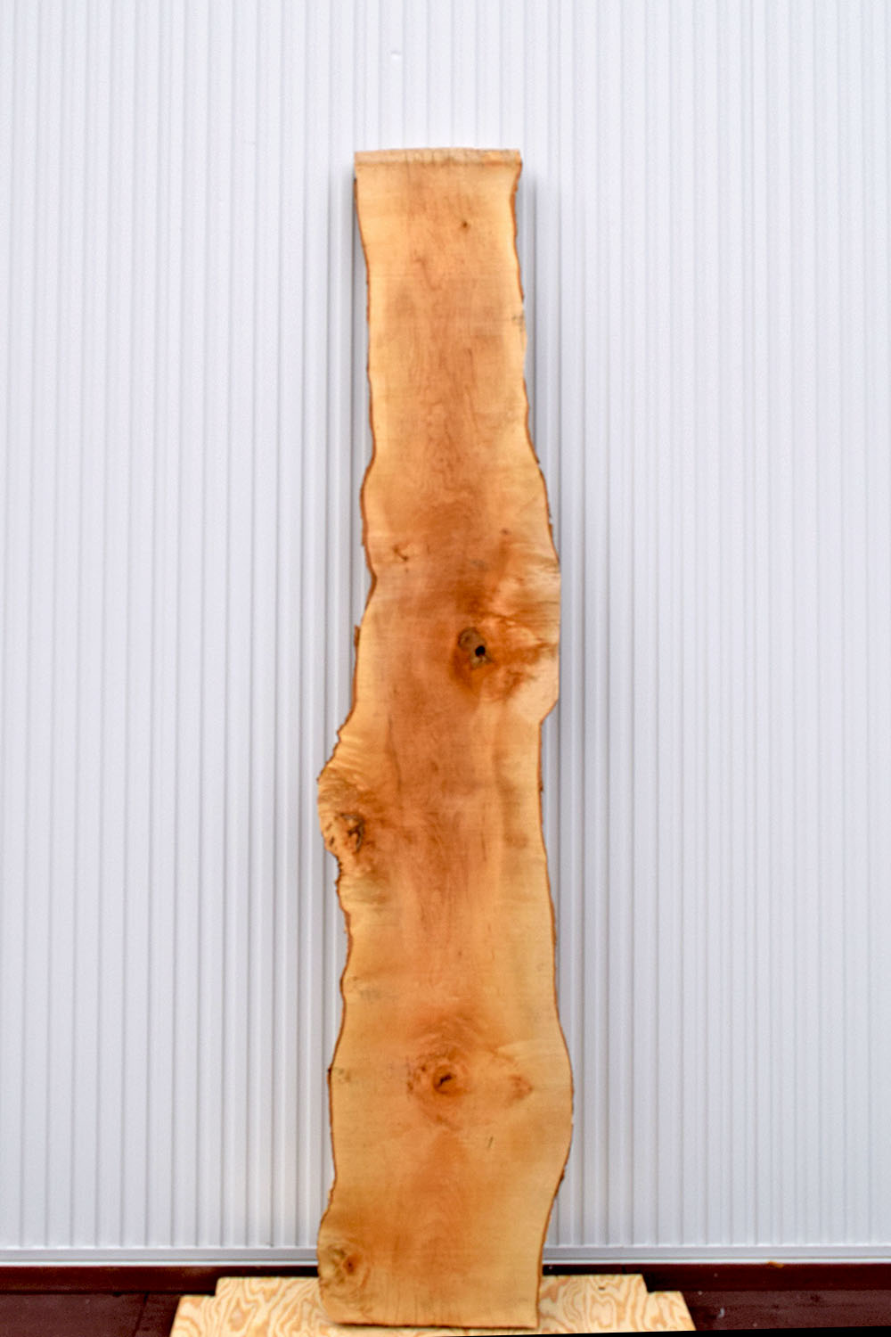 22TMI1530/5 楓 一枚板 一枚板カウンター