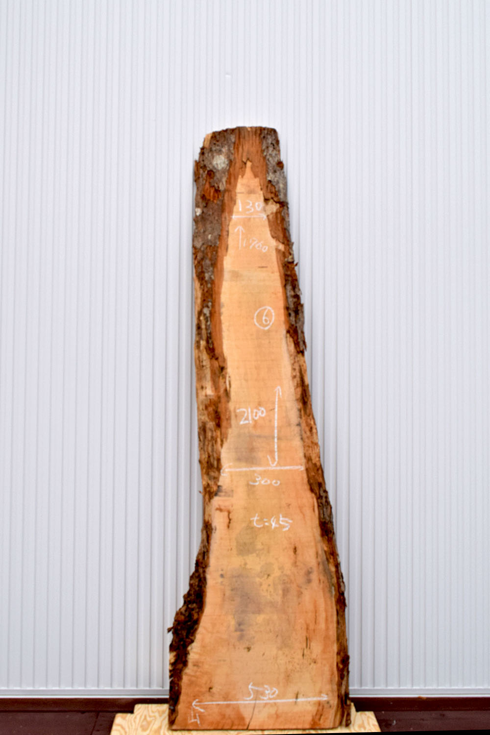 22TMI1530/6 楓 一枚板 一枚板カウンター