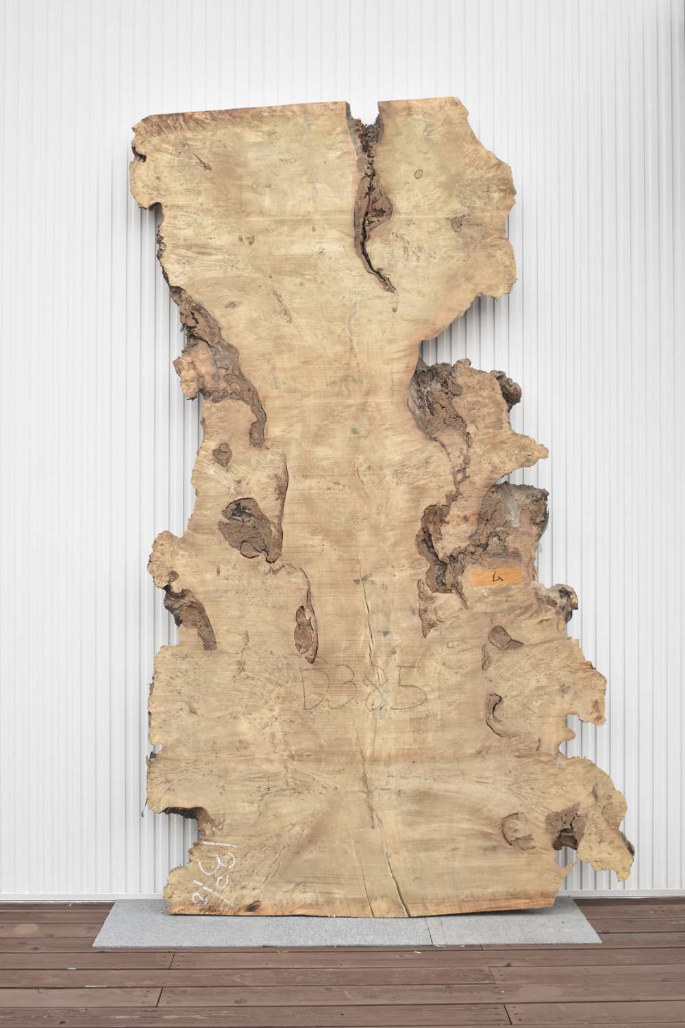 42IKF4221/10 ポプラ 一枚板 一枚板リビングテーブル 一枚板ダイニングテーブル