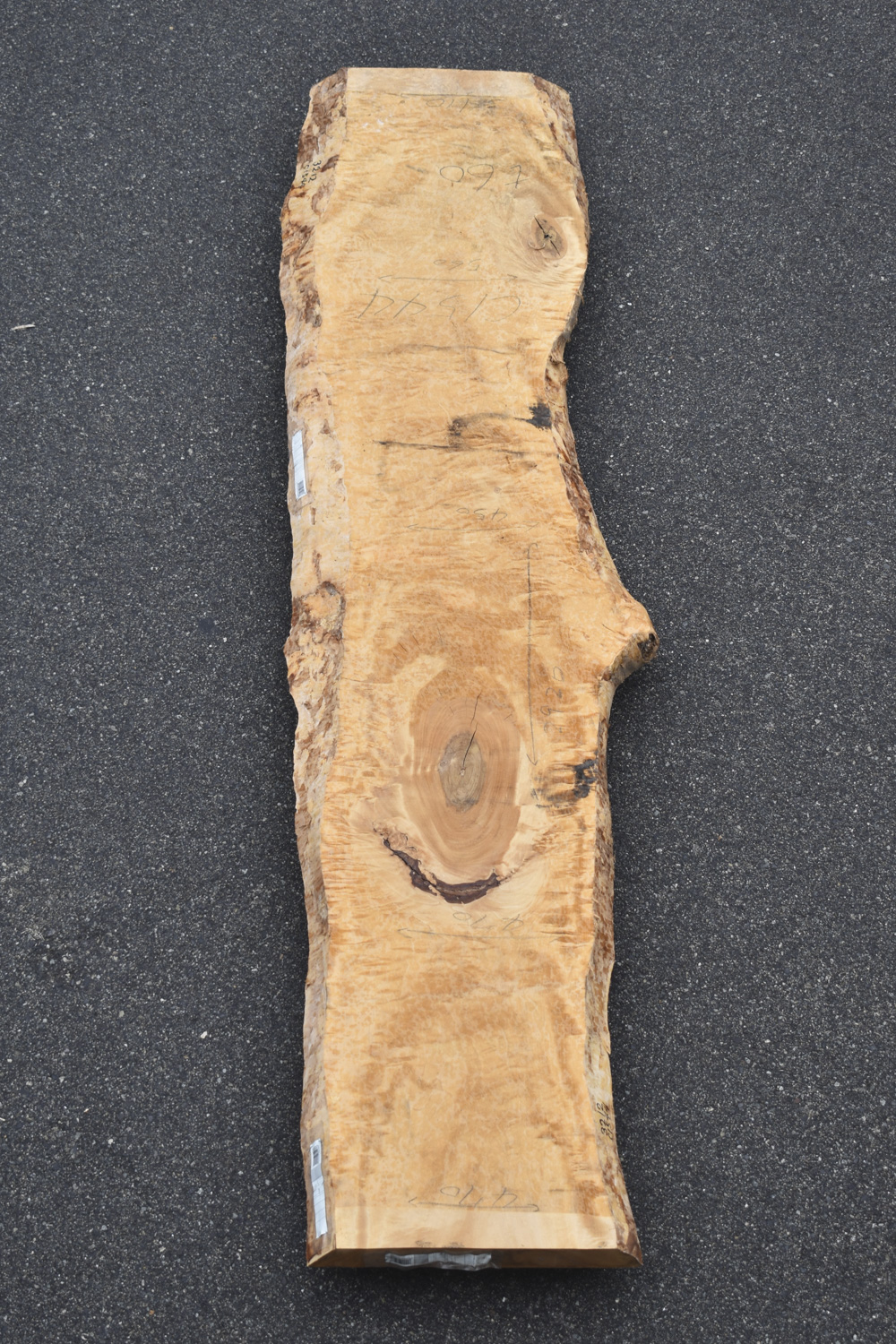 42IKF4221/4 栃 一枚板 一枚板カウンター