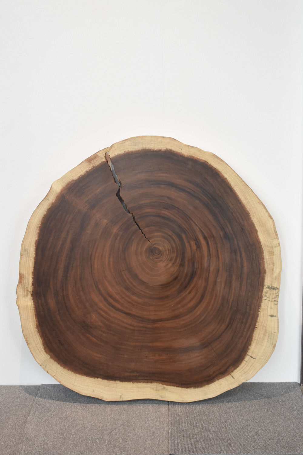 42FQWI0611/2 モンキーポッド（輪切り） 一枚板 一枚板リビングテーブル 一枚板ダイニングテーブル 一枚板輪切り