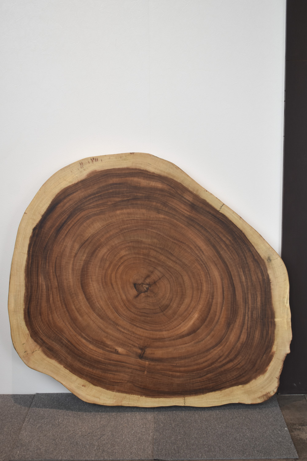 42FQWI0611/42 モンキーポッド(輪切り) 一枚板 一枚板リビングテーブル 一枚板ダイニングテーブル 一枚板輪切り