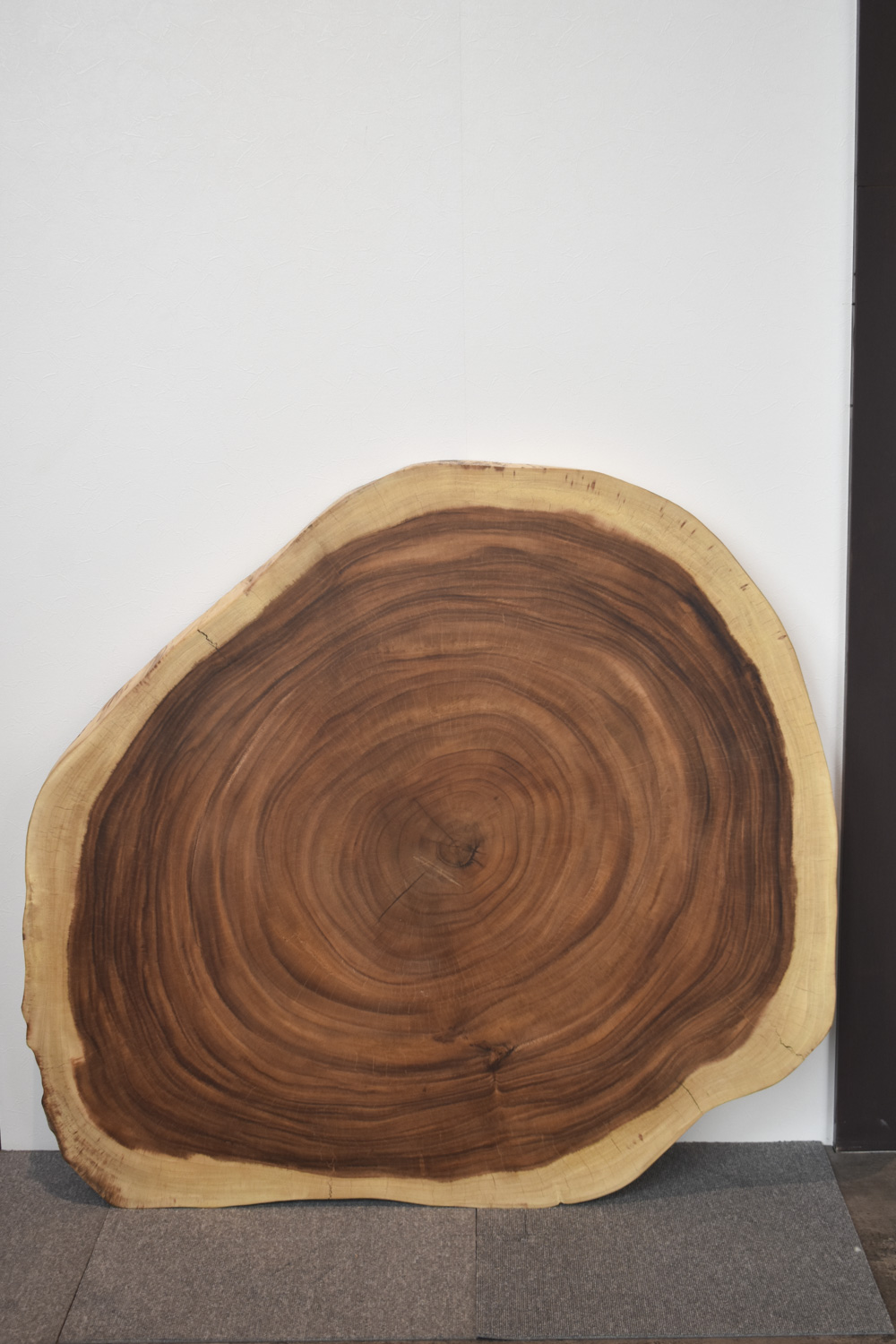 42FQWI0611/42 モンキーポッド(輪切り) 一枚板 一枚板リビングテーブル 一枚板ダイニングテーブル 一枚板輪切り