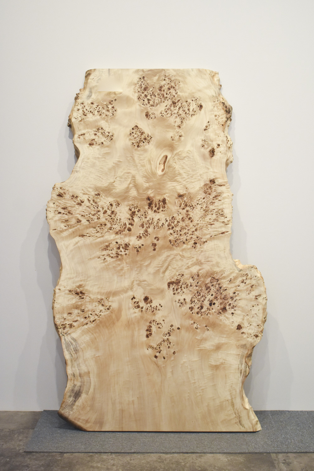 42IKF4221/11 ポプラ 一枚板 一枚板リビングテーブル 一枚板ダイニングテーブル