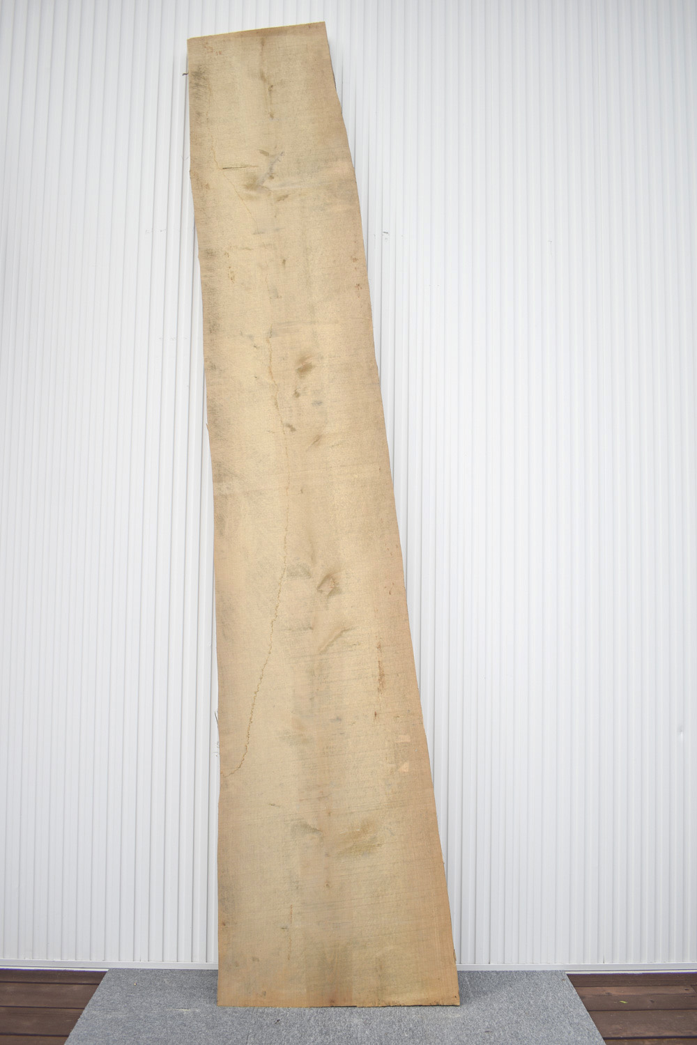 2505/2530 イチョウ 一枚板 一枚板リビングテーブル 一枚板カウンター