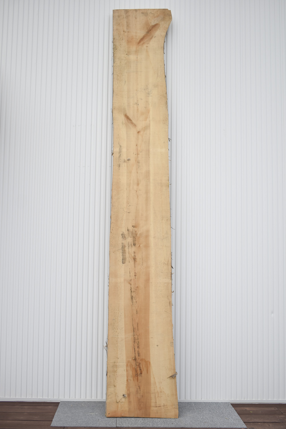 2505/2520 イチョウ 一枚板 一枚板カウンター