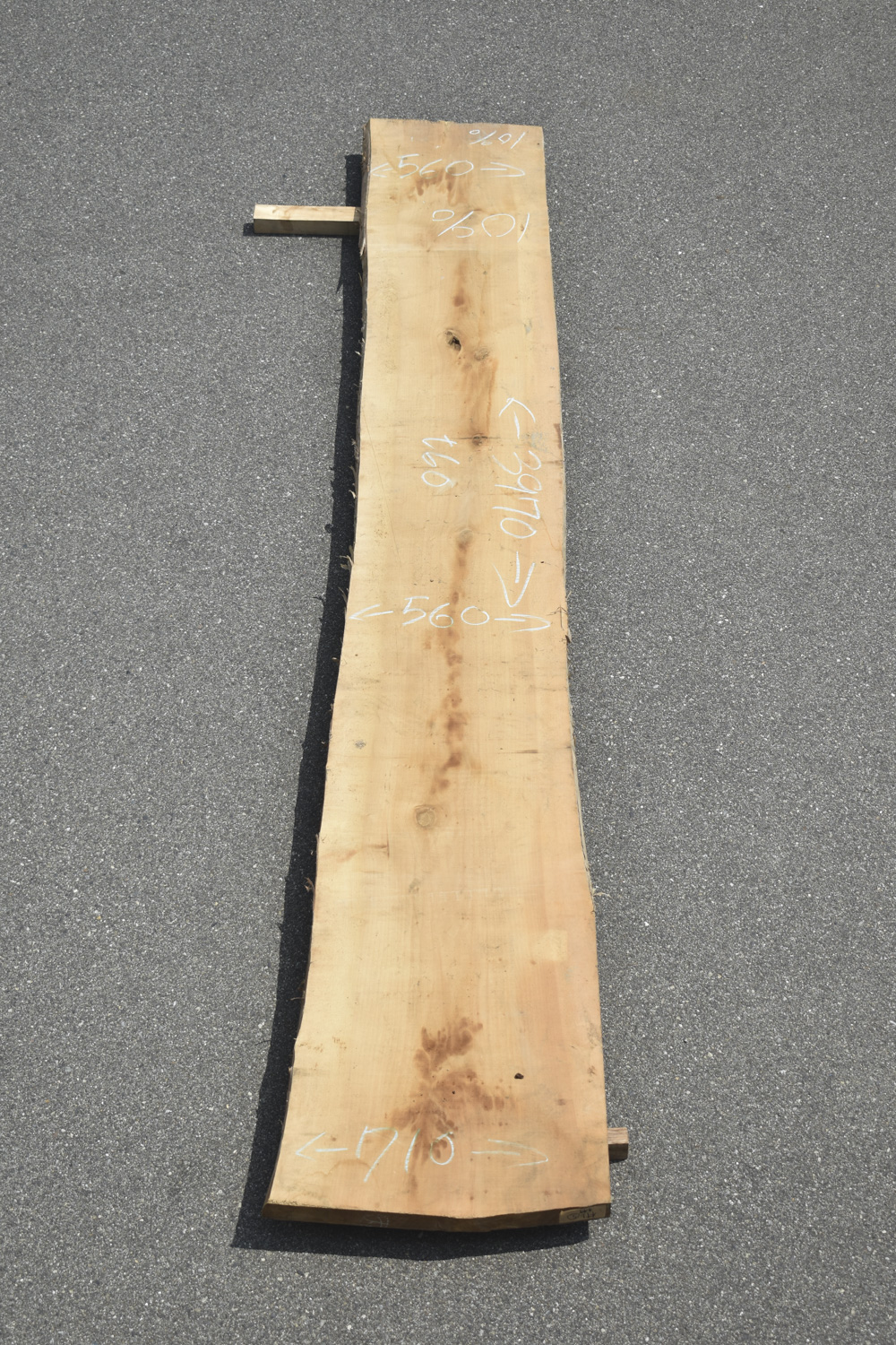 2505/2540 イチョウ 一枚板 一枚板リビングテーブル 一枚板カウンター