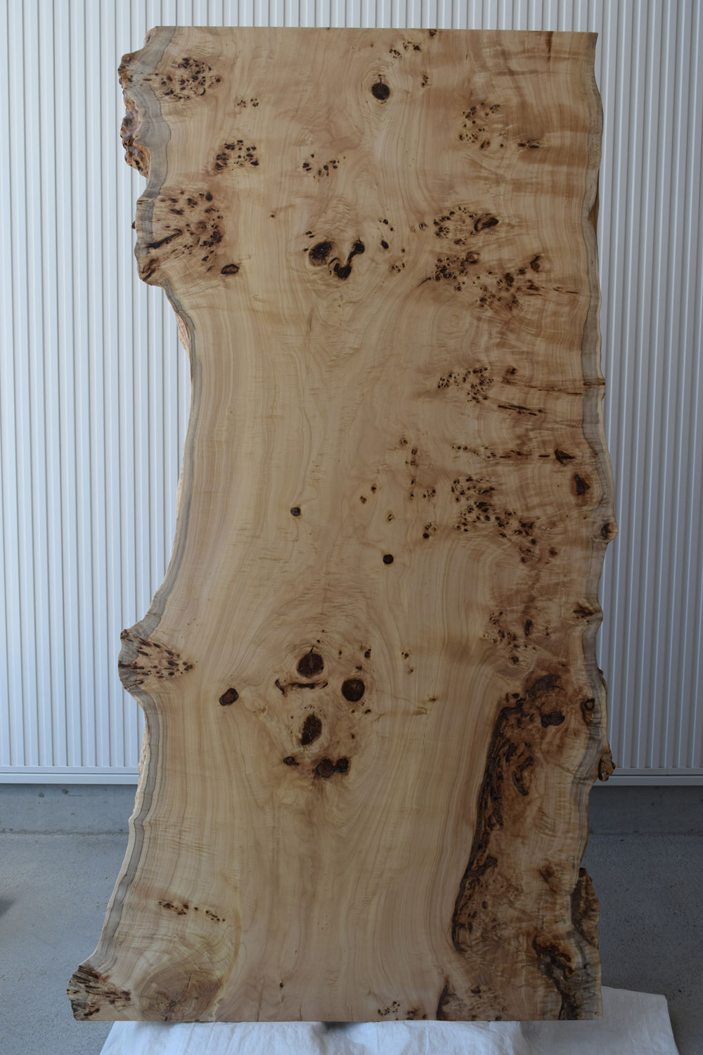 19USG7150/19 ポプラ 一枚板 一枚板ダイニングテーブル