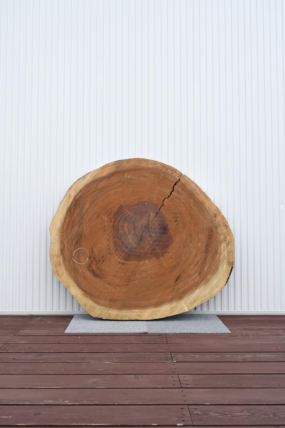 12TGM2080/1 モンキーポッド 一枚板 一枚板リビングテーブル 一枚板輪切り