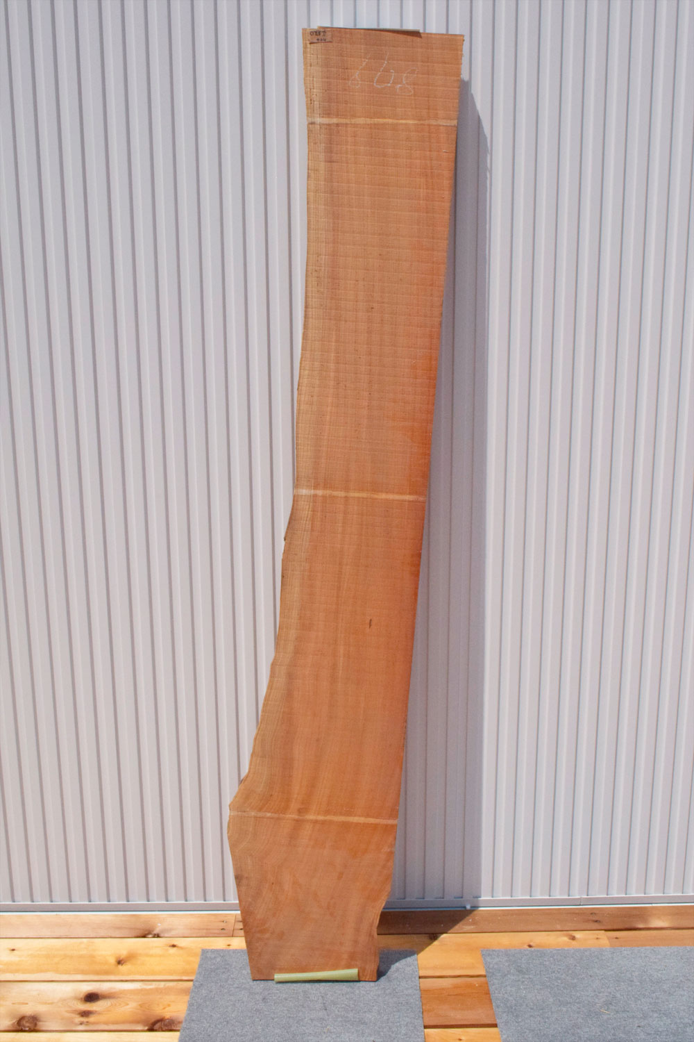 TGM181128/24 欅 一枚板 一枚板カウンター