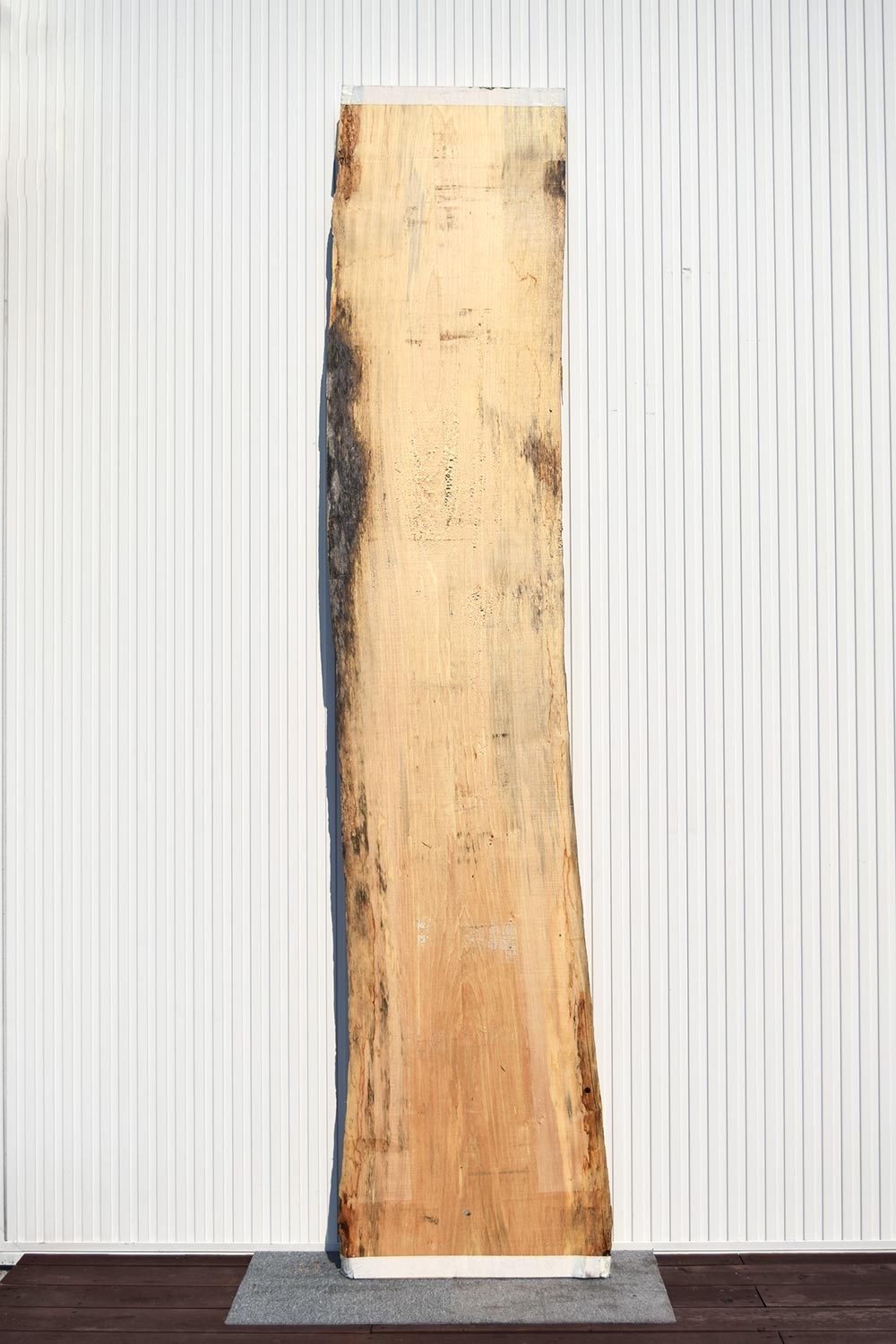 23TGM2470/1 サワグルミ 一枚板 一枚板カウンター