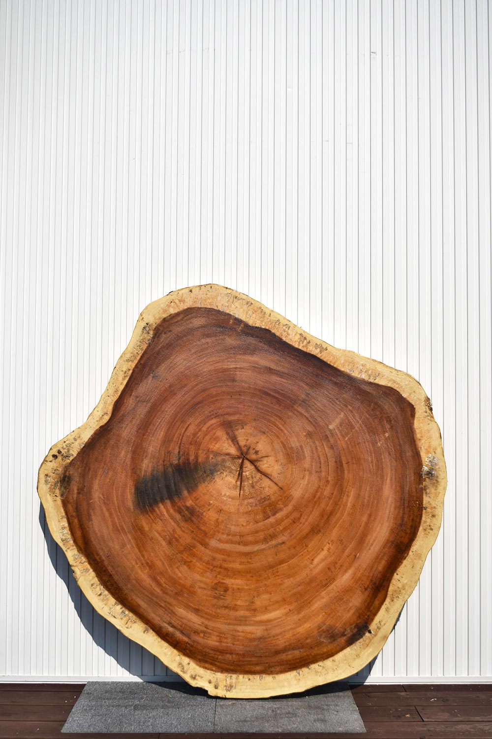 TMI234280/1 モンキーポッド 一枚板 一枚板リビングテーブル 一枚板ダイニングテーブル 一枚板輪切り