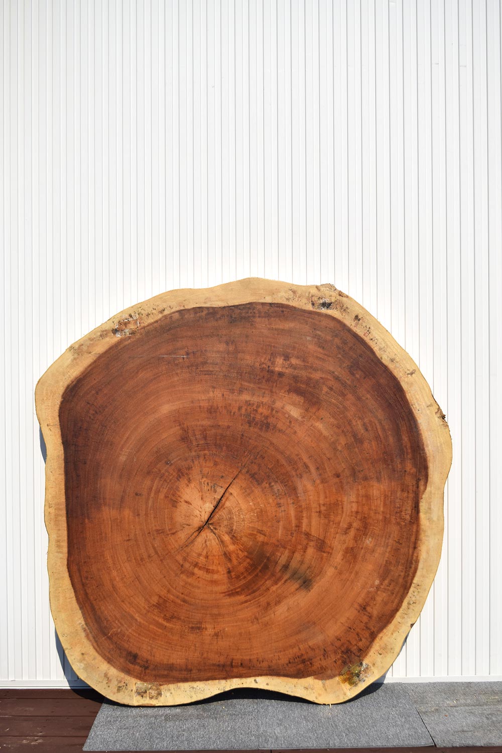 TMI234280/3 モンキーポッド 一枚板 一枚板リビングテーブル 一枚板ダイニングテーブル 一枚板輪切り