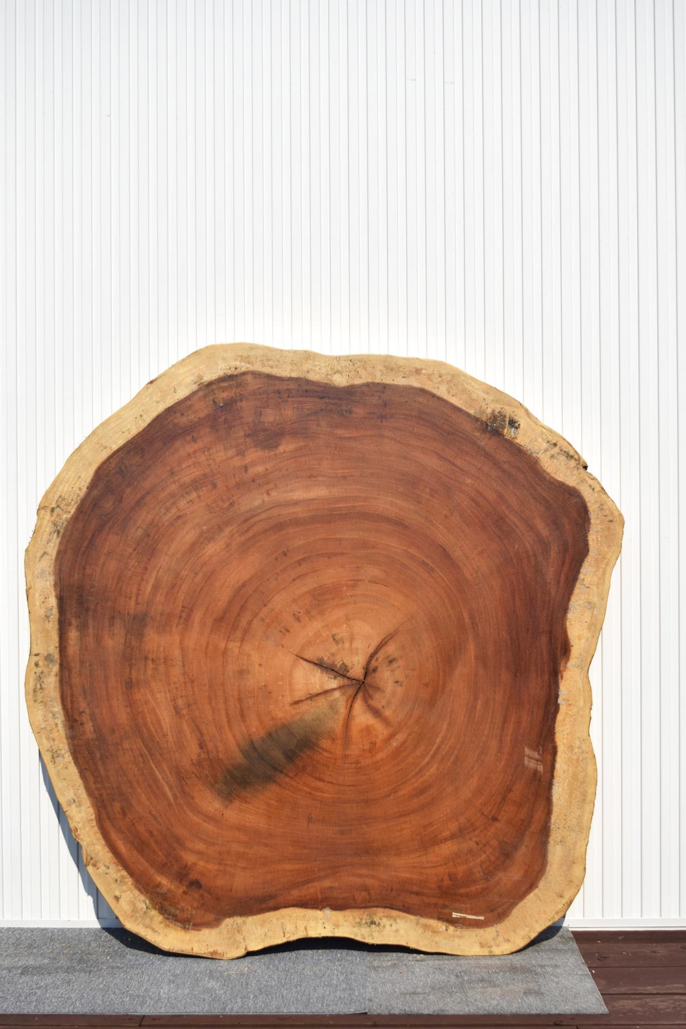 TMI234280/2 モンキーポッド 一枚板 一枚板リビングテーブル 一枚板ダイニングテーブル 一枚板輪切り