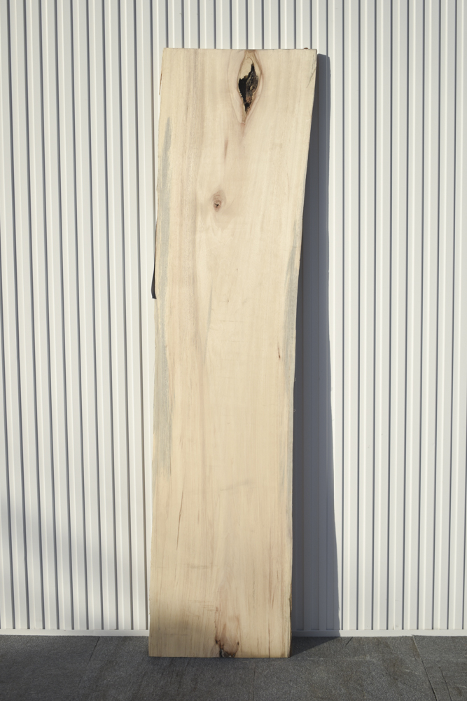 52MKE3102/9 クルミ 一枚板 一枚板カウンター