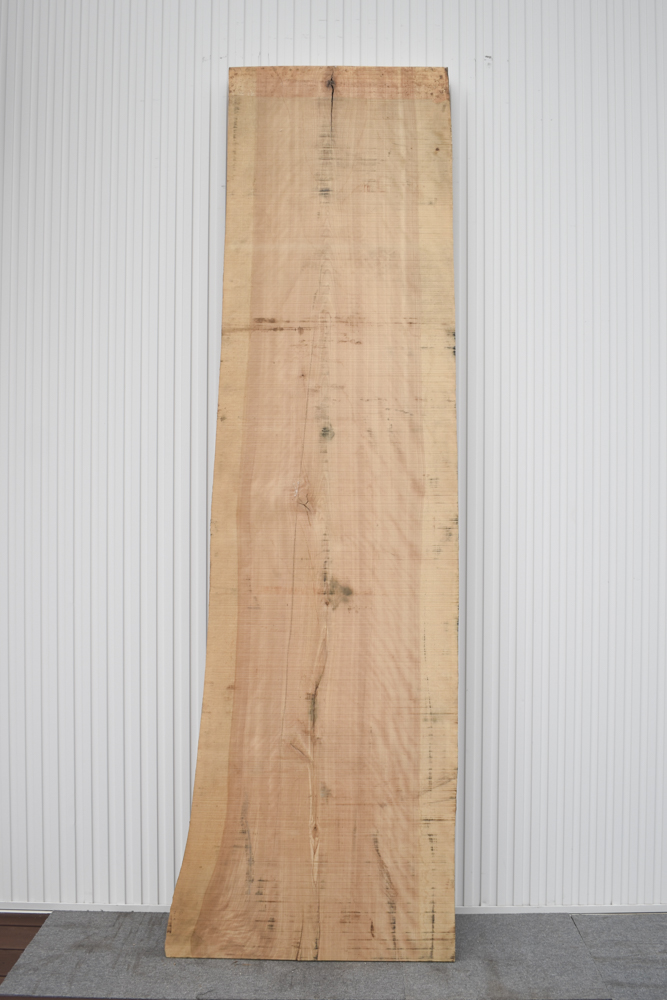 02USG1220/10 樺 一枚板 一枚板カウンター