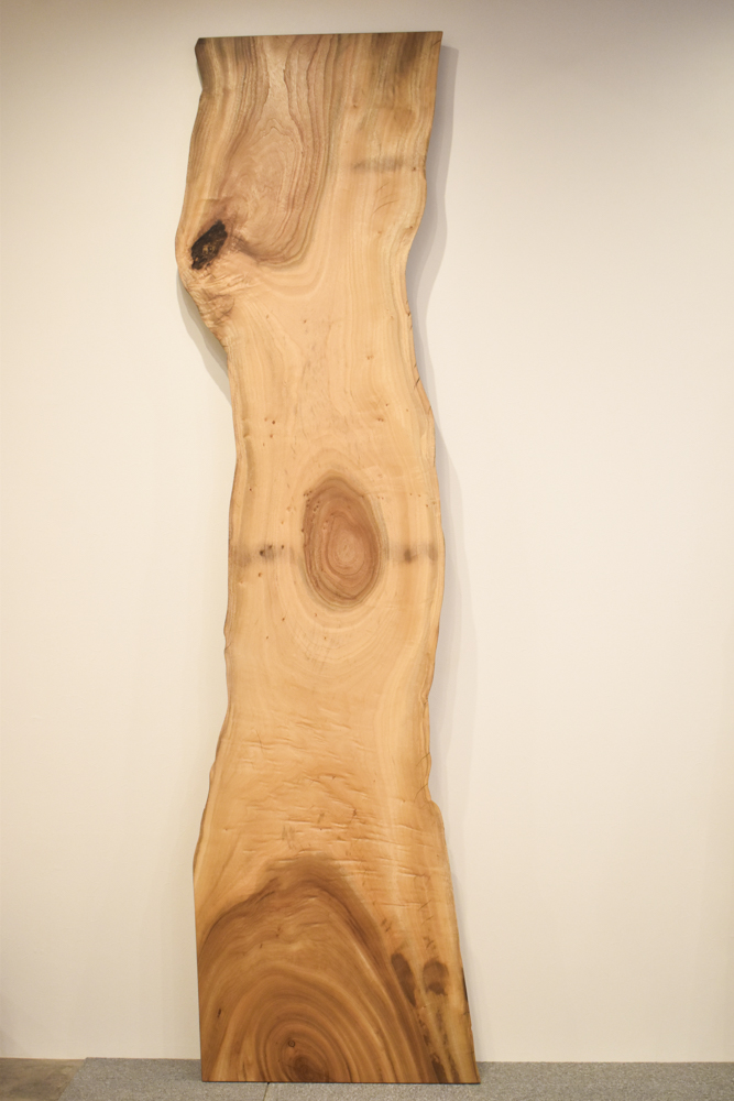 52MKE3102/2 楠 一枚板 一枚板カウンター