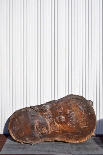 12USG0221/9 モンキーポッド 一枚板 一枚板輪切り