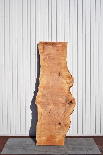 12USG0221/4 栃 一枚板 一枚板リビングテーブル 一枚板ダイニングテーブル