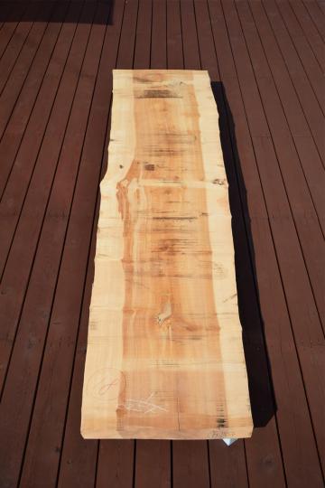 02USG1220/9 イチョウ 一枚板 一枚板カウンター