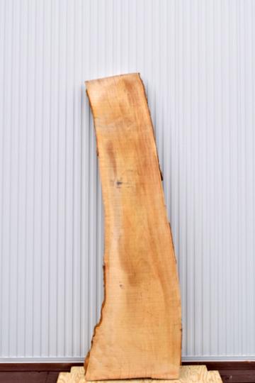 22TMI1530/1 楓 一枚板 一枚板カウンター