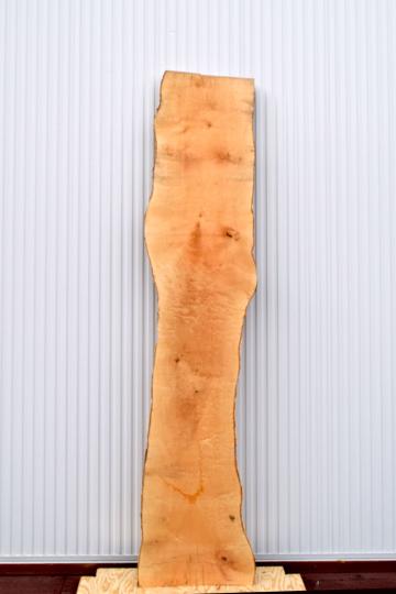 22TMI1530/3 楓 一枚板 一枚板カウンター