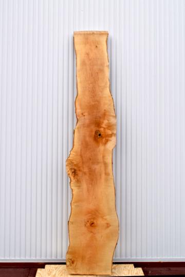 22TMI1530/5 楓 一枚板 一枚板カウンター