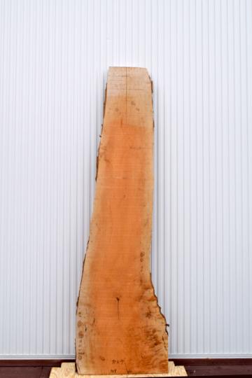 22TMI1530/6 楓 一枚板 一枚板カウンター