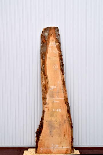 22TMI1530/6 楓 一枚板 一枚板カウンター