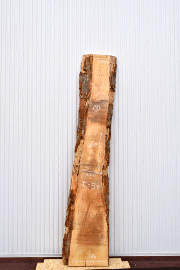 22TMI1530/7 楓 一枚板 一枚板カウンター