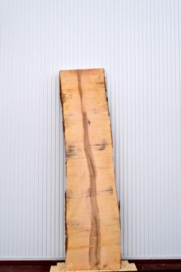 22TMI1530/8 楓 一枚板 一枚板カウンター