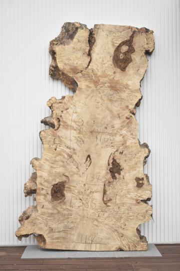 42IKF4221/10 ポプラ 一枚板 一枚板リビングテーブル 一枚板ダイニングテーブル