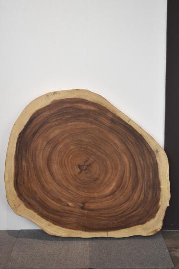 ☆希少☆輪切一枚板 一枚板輪切り | 天然木材工房 村上一枚板