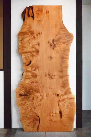 天然1枚板 楓 楓 一枚板 一枚板リビングテーブル 一枚板ダイニングテーブル | 天然