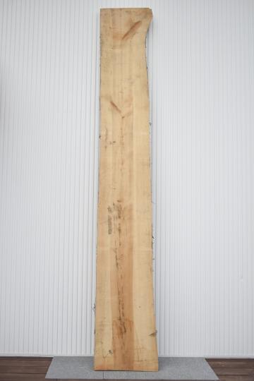 2505/2520 イチョウ 一枚板 一枚板カウンター