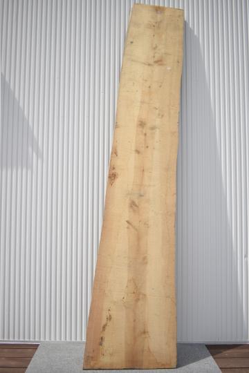 2505/2510 イチョウ 一枚板 一枚板カウンター