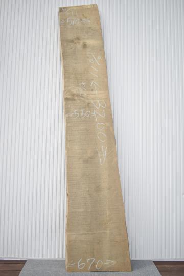 2505/2510 イチョウ 一枚板 一枚板カウンター