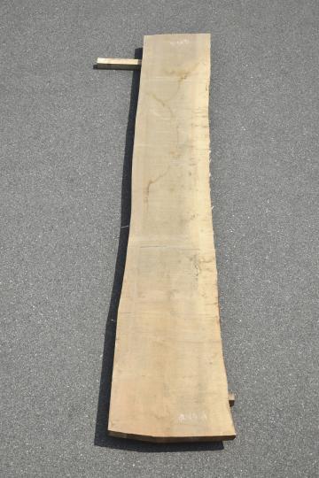 2505/2540 イチョウ 一枚板 一枚板リビングテーブル 一枚板カウンター