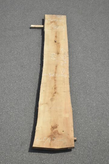 2505/2540 イチョウ 一枚板 一枚板リビングテーブル 一枚板カウンター