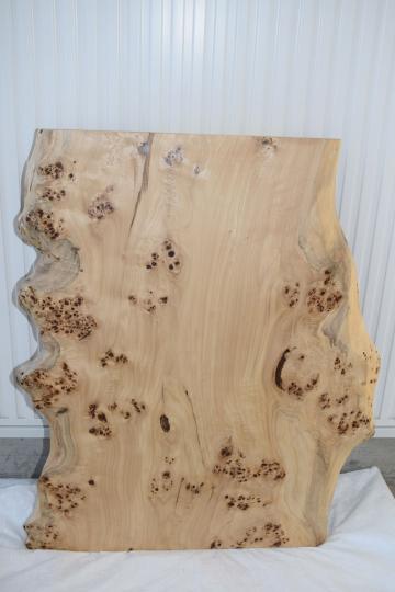 19USG7150/1-A ポプラ 一枚板 一枚板リビングテーブル