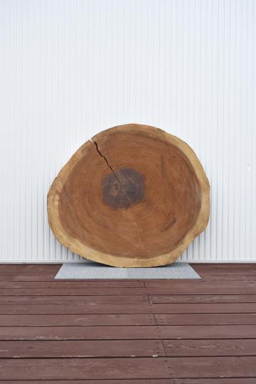 一枚板輪切り | 天然木材工房 村上一枚板