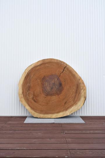 12TGM2080/1 モンキーポッド 一枚板 一枚板リビングテーブル 一枚板輪切り