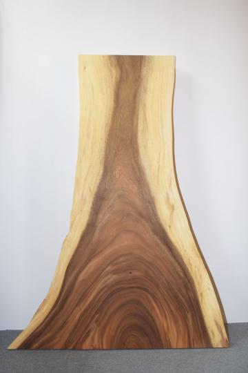 TGMM モンキーポッド 一枚板 一枚板リビングテーブル