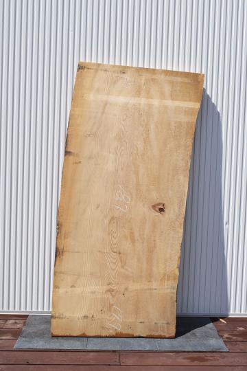 22OKZ9111/8 モミ 一枚板 一枚板ダイニングテーブル