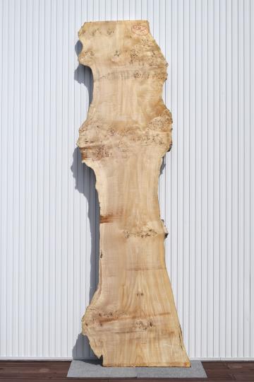 42TKA0807/3 ポプラ 一枚板 一枚板リビングテーブル 一枚板カウンター