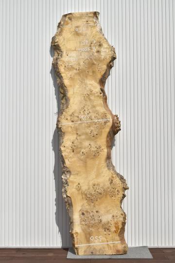 42TKA0807/4 ポプラ 一枚板 一枚板リビングテーブル 一枚板カウンター