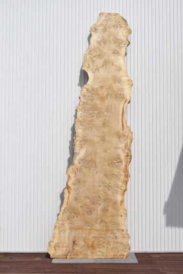 42TKA0807/5 ポプラ 一枚板 一枚板リビングテーブル 一枚板カウンター